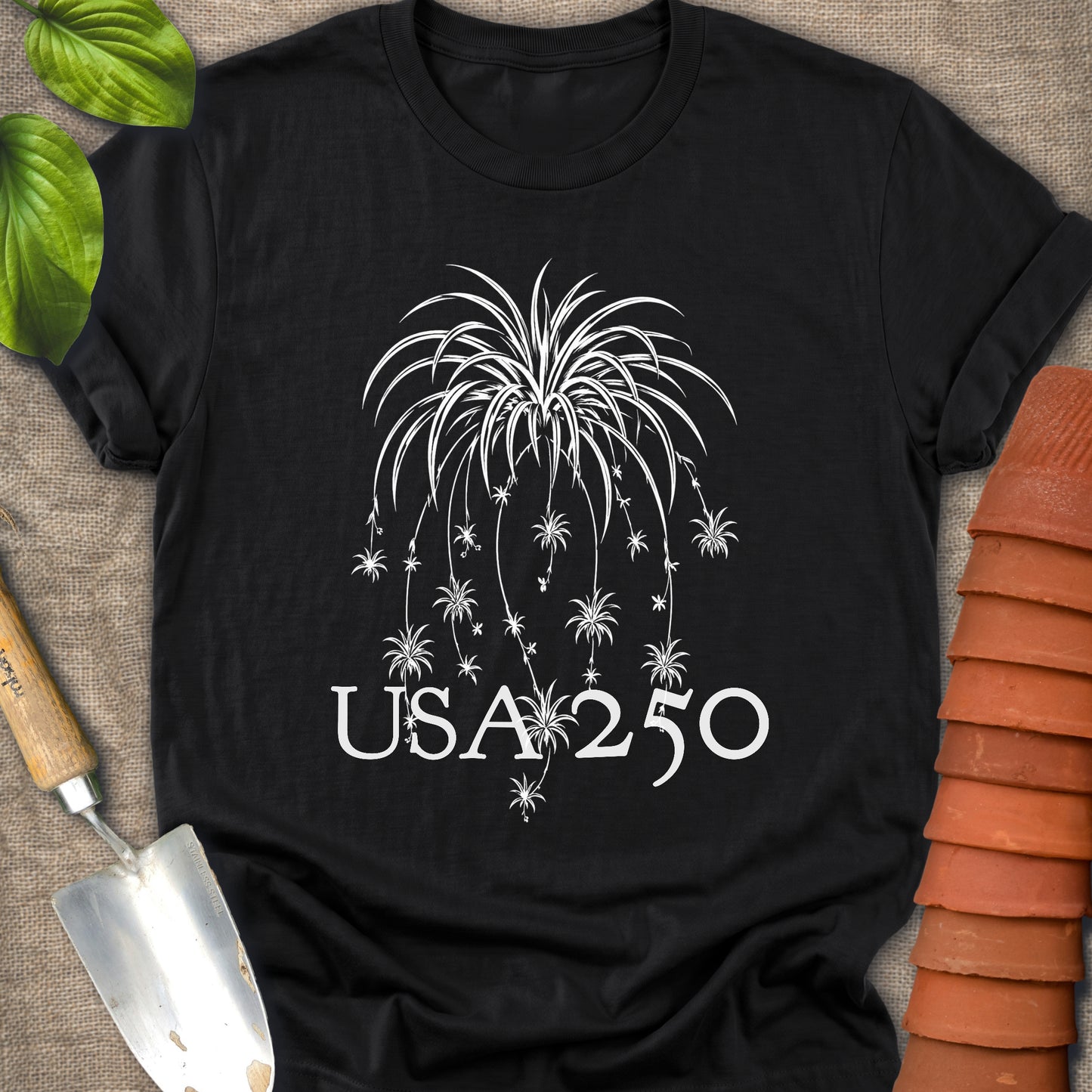 Spider Plant Fire Works USA 250