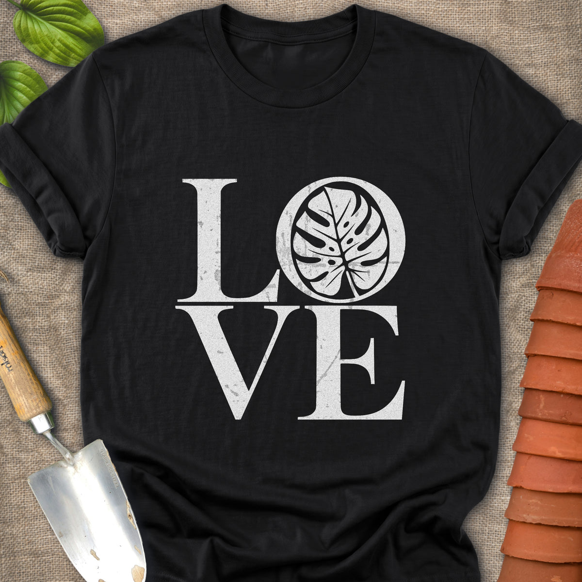 Love Monstera