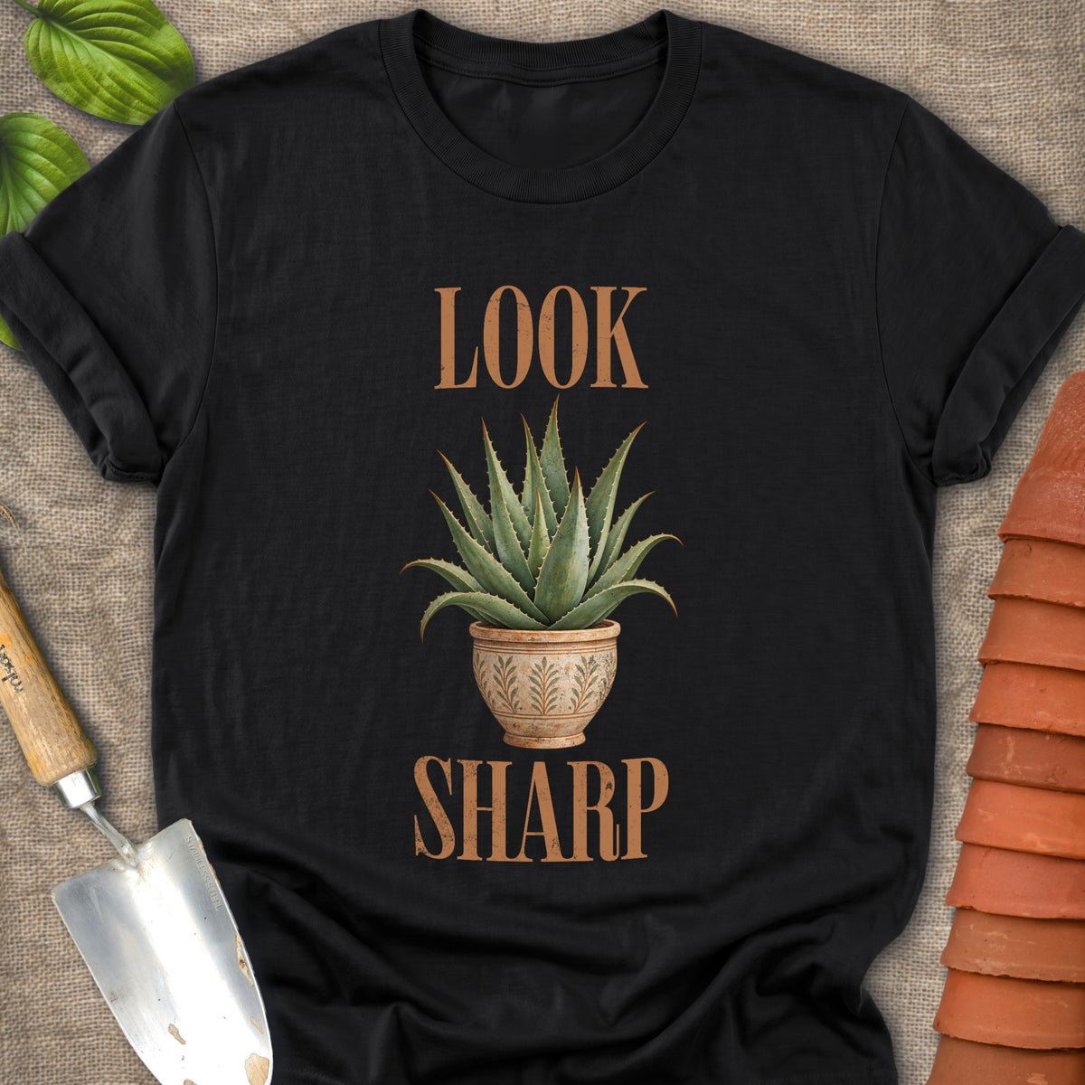 Look Sharp