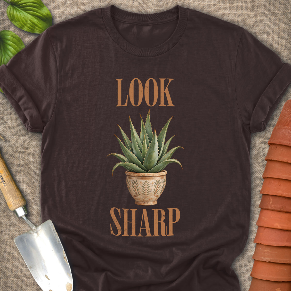 Look Sharp