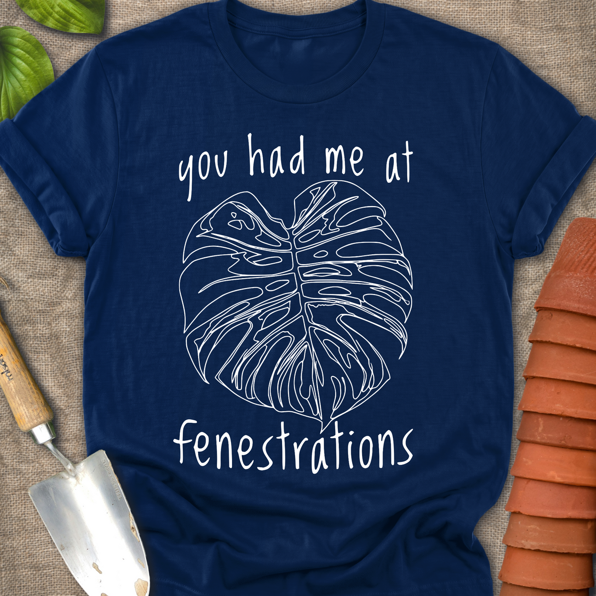 You Had Me At Fenestrations