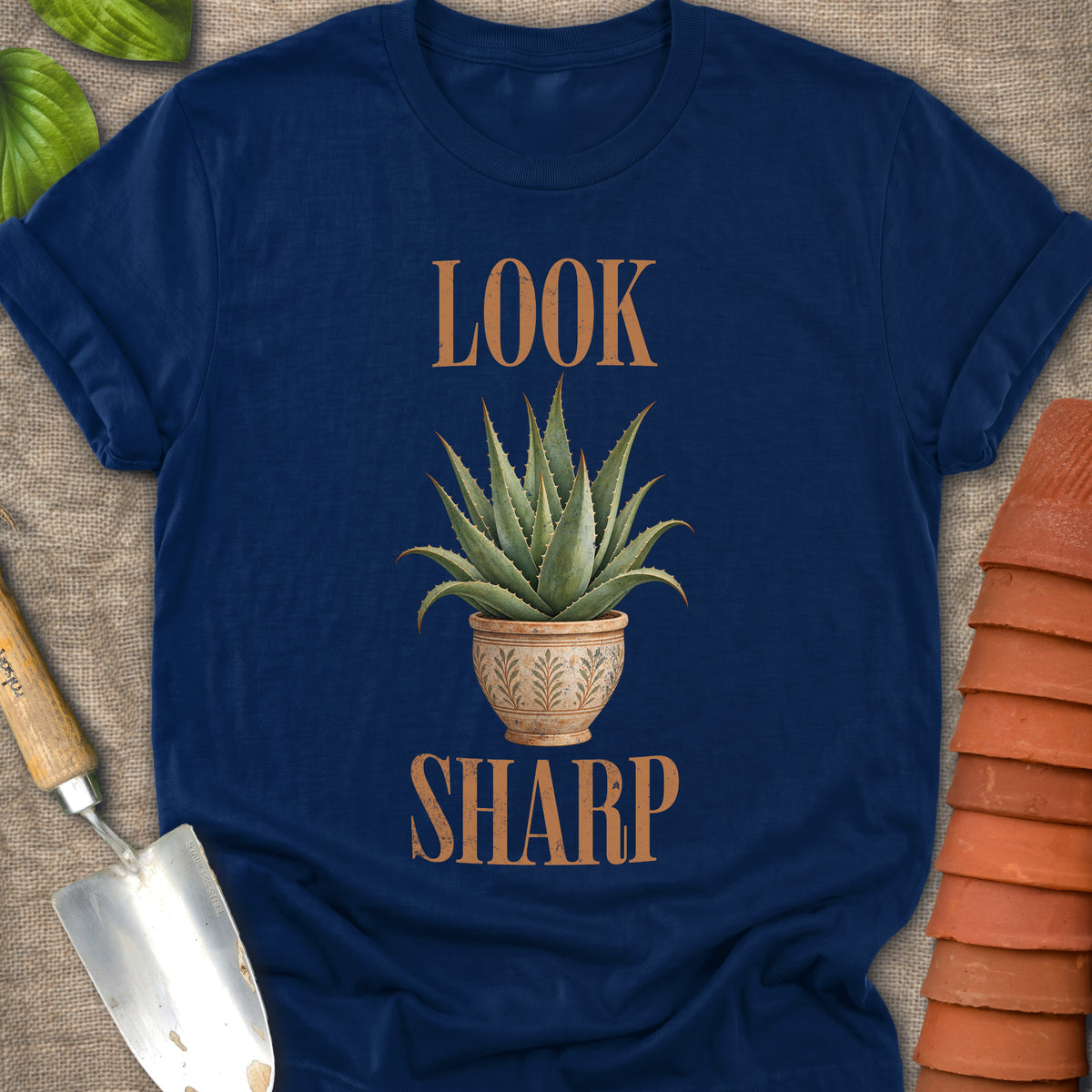 Look Sharp