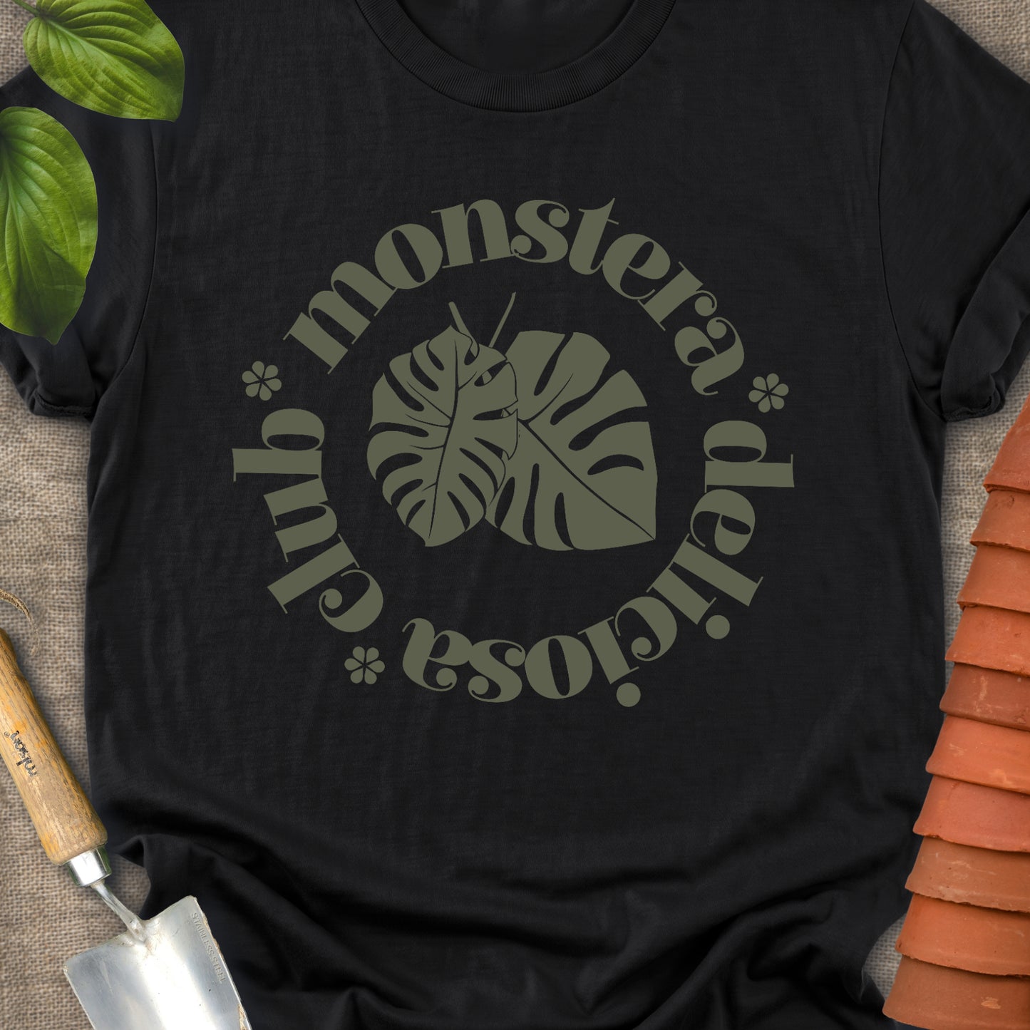 Monstera Deliciosa Club