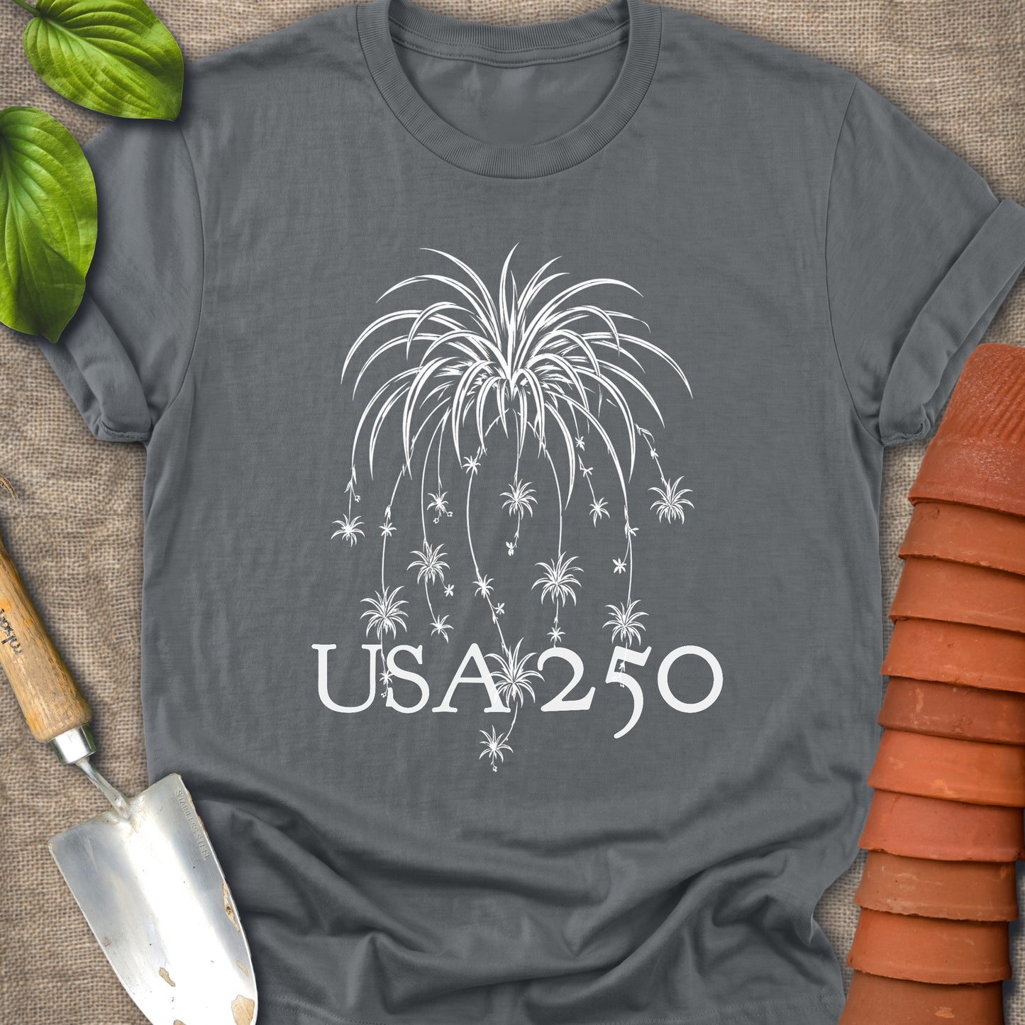 Spider Plant Fire Works USA 250