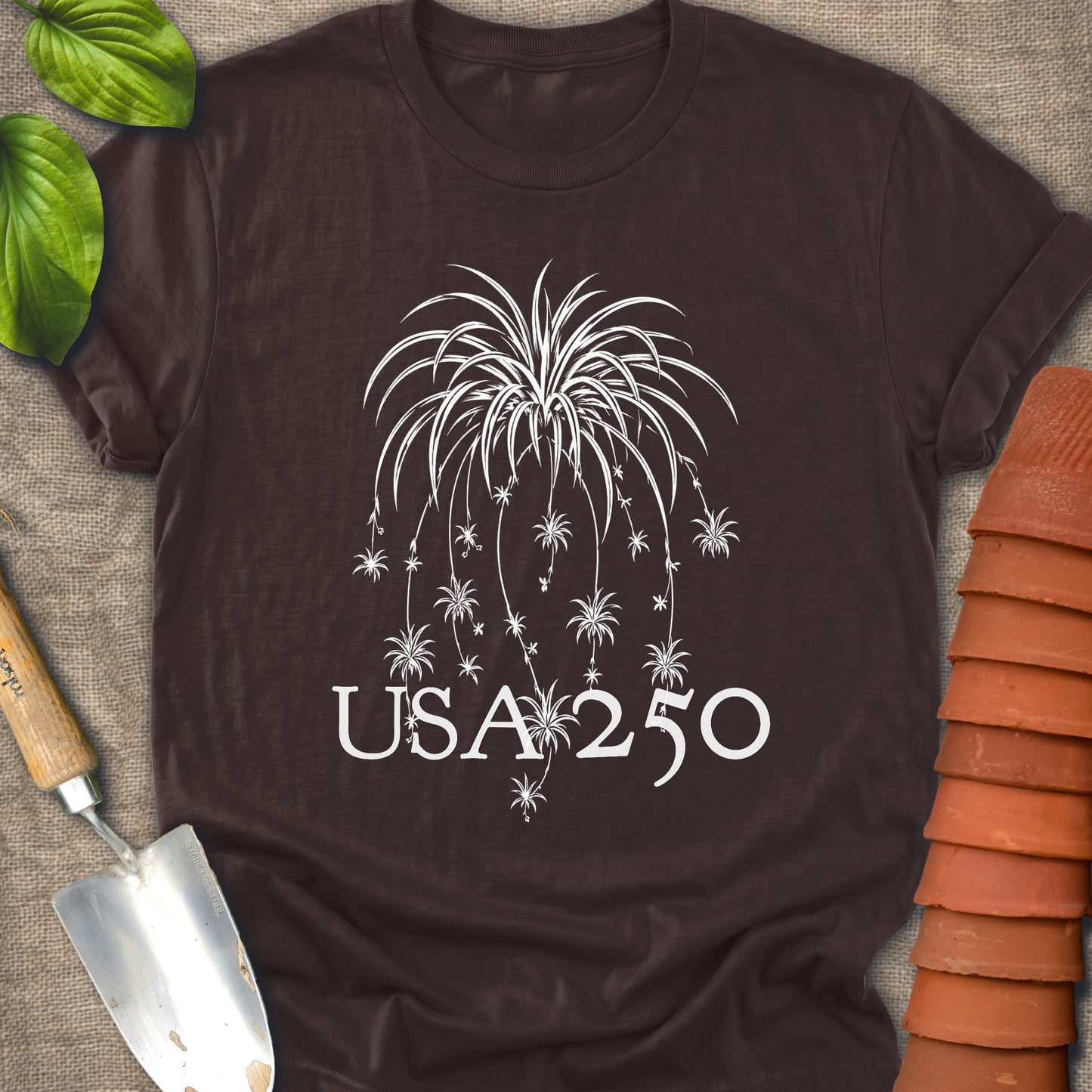Spider Plant Fire Works USA 250