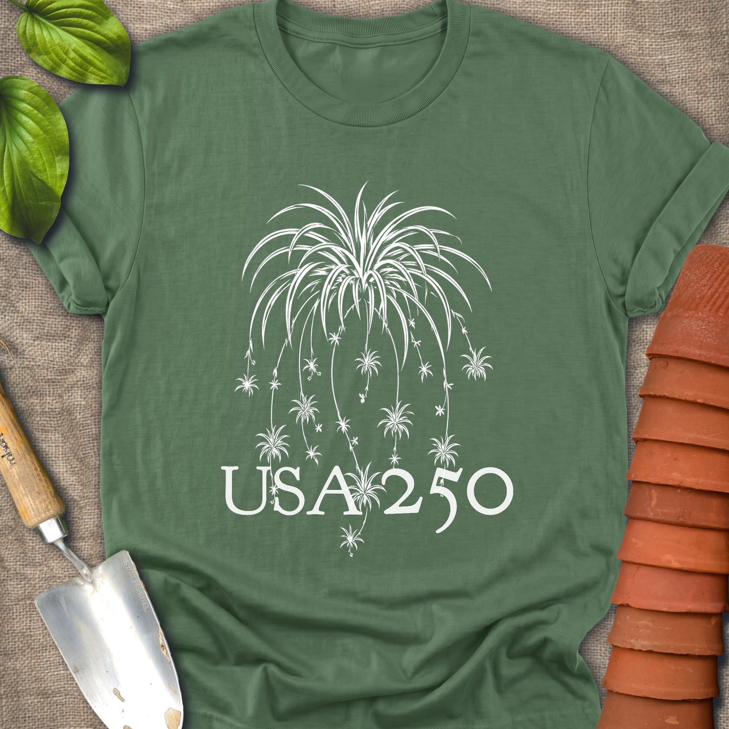 Spider Plant Fire Works USA 250